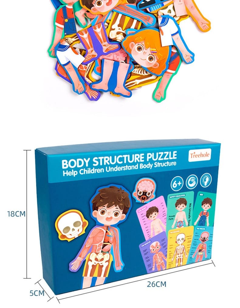 Human Body Puzzle Boy