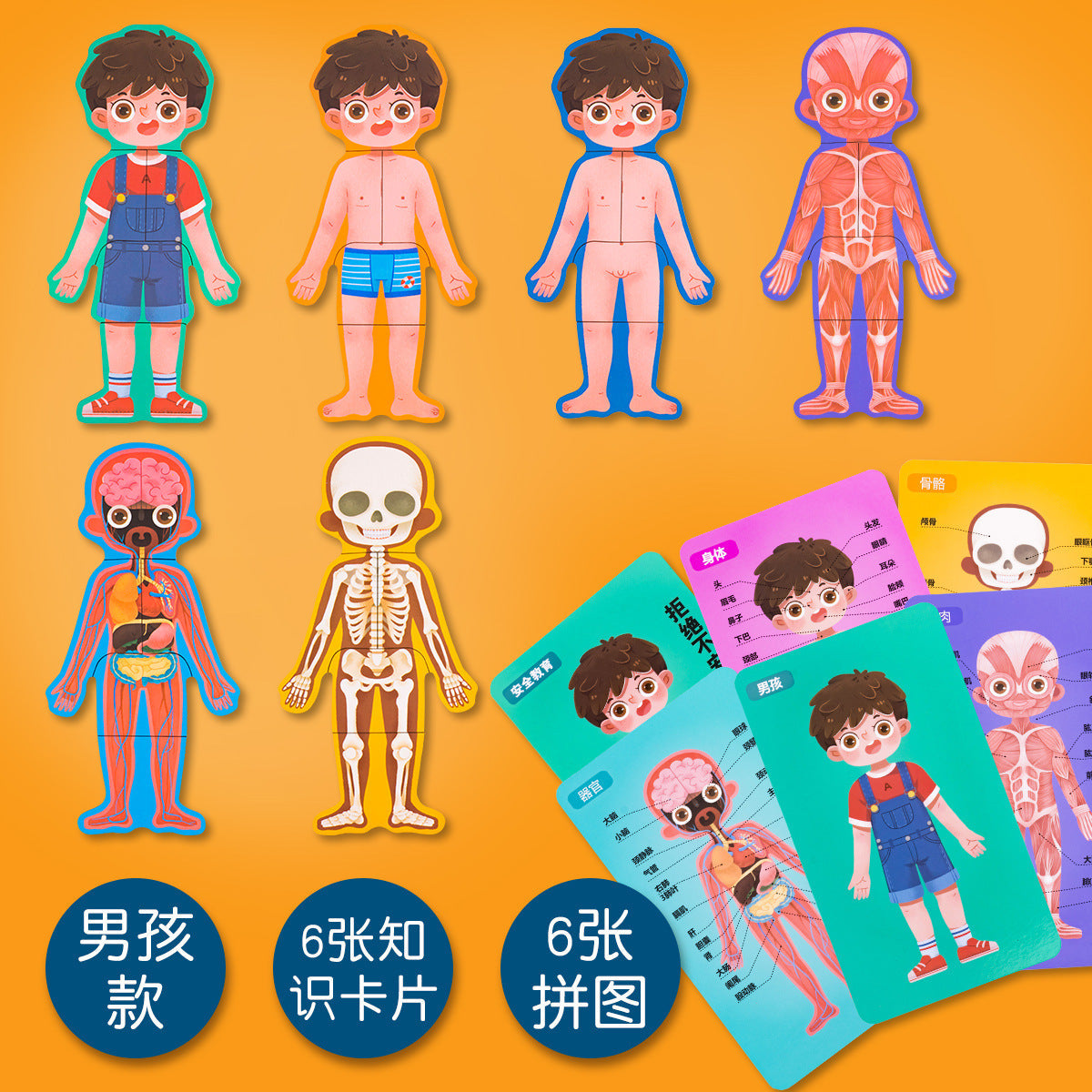 Human Body Puzzle Boy