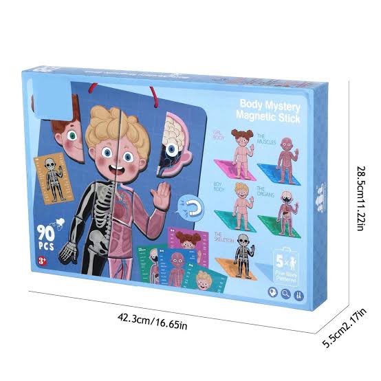 Magnetic Puzzle Human Body 90 Pieces