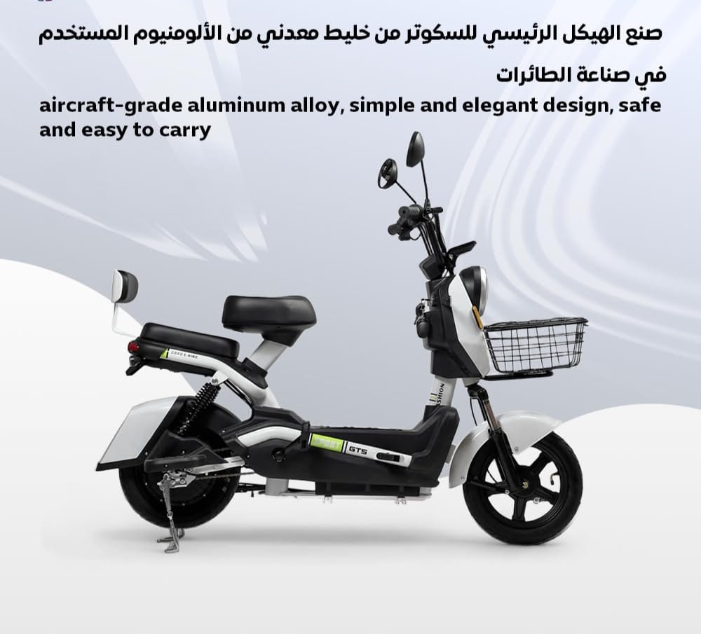 electric scooter