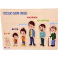 Human Growth Stages Puzzle