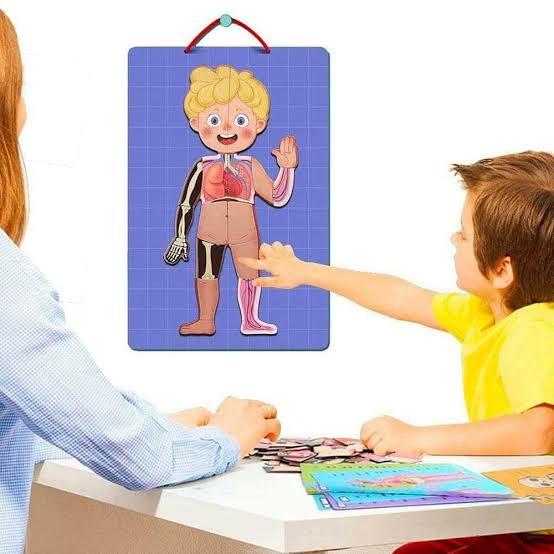 Magnetic Puzzle Human Body  90 Pieces