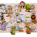 What's Inside - Forest Animals